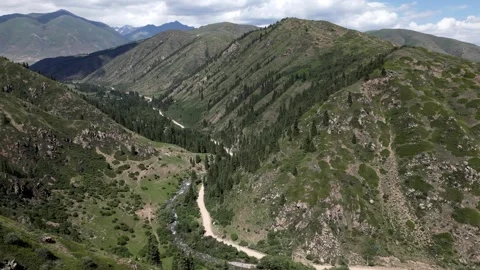 063 库存影片 246088345