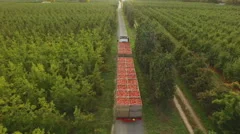 aerial of apple bins on a  truck from rear