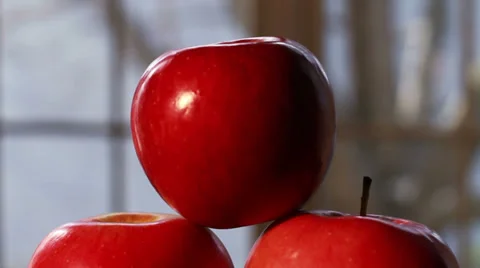 0636 Picking up Apples with Tree in Background Stock Footage 35536364