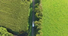 The camera follows a white van driving from the top on a small road through