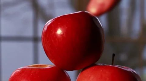 0637 Picking up Apples with Tree in Background Stock Footage 35536175
