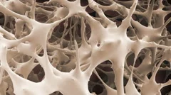 Matrix of bone fibers.