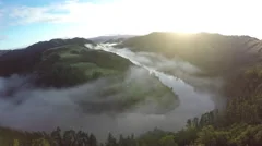 Aerial view over pine forest of river covered in early morning fog