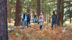 Multi generation family walking on a forest trail