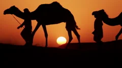 Aerial sunset drone of camel train travelling across a Middle Eastern desert