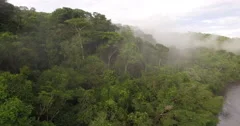 Aerial View Of Rain Forest In Peru, South America