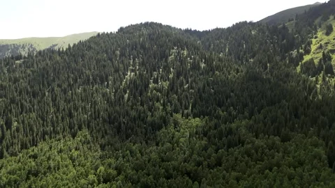 065 Video stock 246088635