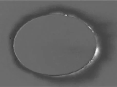 066-04-44 Stock Footage 5295105