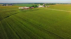 Striking aerial view of mature corn field rows at sunrise