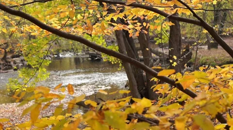 0668  River Stock Footage 34392012