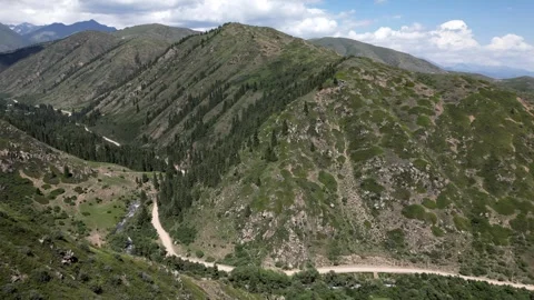 067 Video stock 246088939