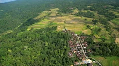 Aerial view Ubud plantation farming rice terraces Bali Indonesia Southeast Asia