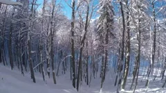 POV: Snowboarding through freshly snowed forest in mountain ski resort
