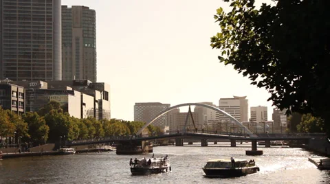 068 river boars bridge Stock Footage 34194443