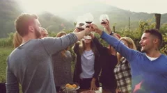 Group of friends toasting with red wine in the vineyard