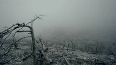Pov shot of a barren land,burned out forest in mist and fog