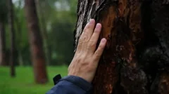 female hand touching tree bark 1