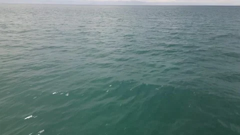 069 Video stock 246088710