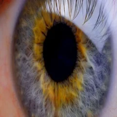 Extreme close up human eye iris