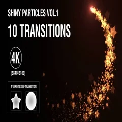 10-in-1 (4K) Shiny Particles Transition vol.1 - gold