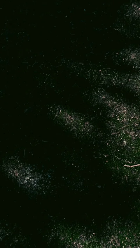 069_Grass texture with dappled sunlight pattern.mp4 Stock Footage 345817532