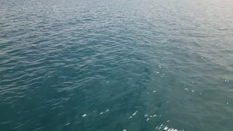 070 Video stock 246088884