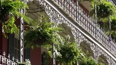 New Orleans French Quarter Architecture With Wrought Iron Balcony and Ferns