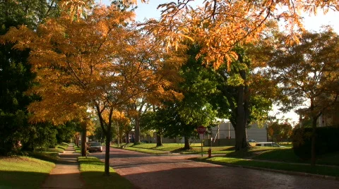 0706-A002 - Steet (Fall) - MOS Stock Footage 266211