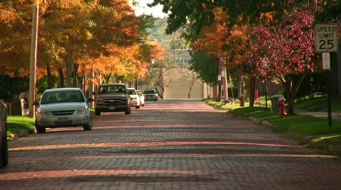 0706-A039a - Steet (Fall) - MOS Stock Footage 266244