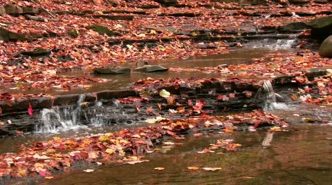0706-B018 - Fall Stock Footage 266377