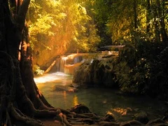 Beautiful nature landscape of waterfall in forest and scenic sunlight rays