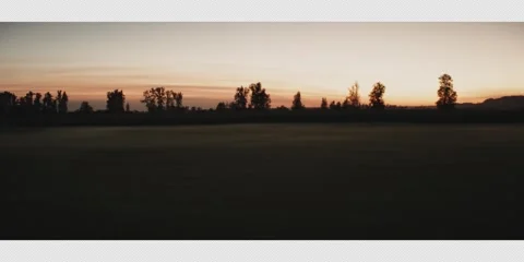 071 Ariel shot dropping in height showing a field with mist and a sunset 스톡 동영상 321822543