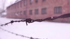 Close-up shot of old rusty barbed wire fence in former concentration camp. Brick