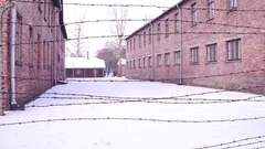 Walk along old barbed wire fence of Auschwitz Birkenau concentration and