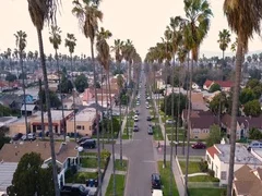Los Angeles Southern California Ghetto Hood Palm Trees Aerial Drone
