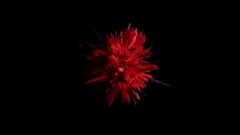 Cg animation of red powder explosion on black background
