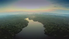 Aerial Shot of Amazon Rainforest at Twilight