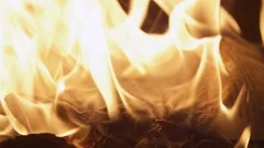 Vintage book pages are burning in fire