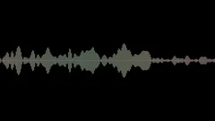Audio signal animation, simple colorful equalizer, the sound wave as a