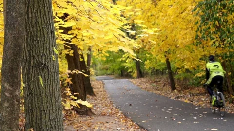 0738  Autumn comes to forests Stock Footage 36865459