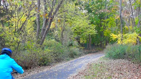 0739  Fall In the woods Video stock 36858701