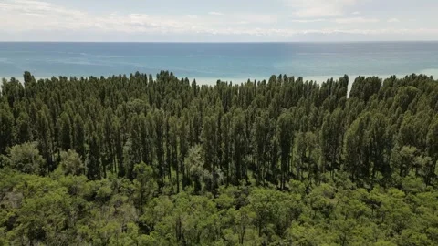 074 库存影片 246089185