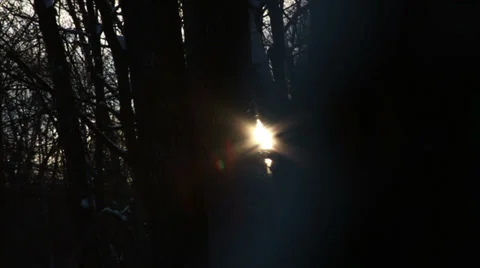 0748 Fresh Snow in the Forest and Trees at Sunset Stock Footage 35769332