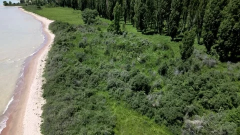 075 库存影片 246089176