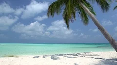 Tropical pristine beach with coconut palm and turquoise water