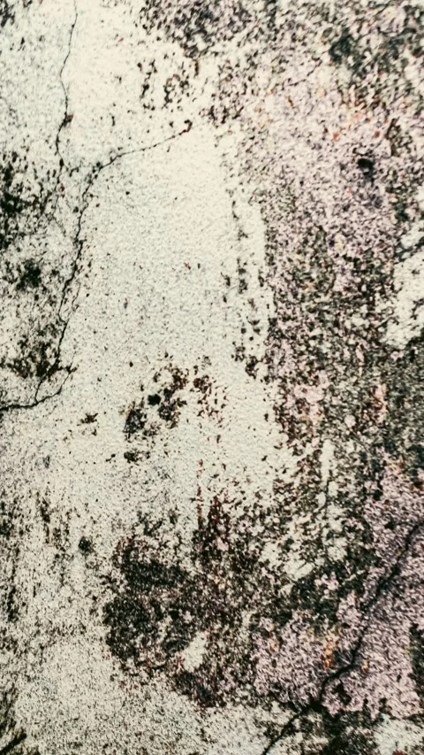 075_Weathered concrete wall texture pattern.mp4 Stock Footage 347072376