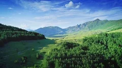 Aerial beautiful mountain landscape green trees forest grassland blue cloudy sky