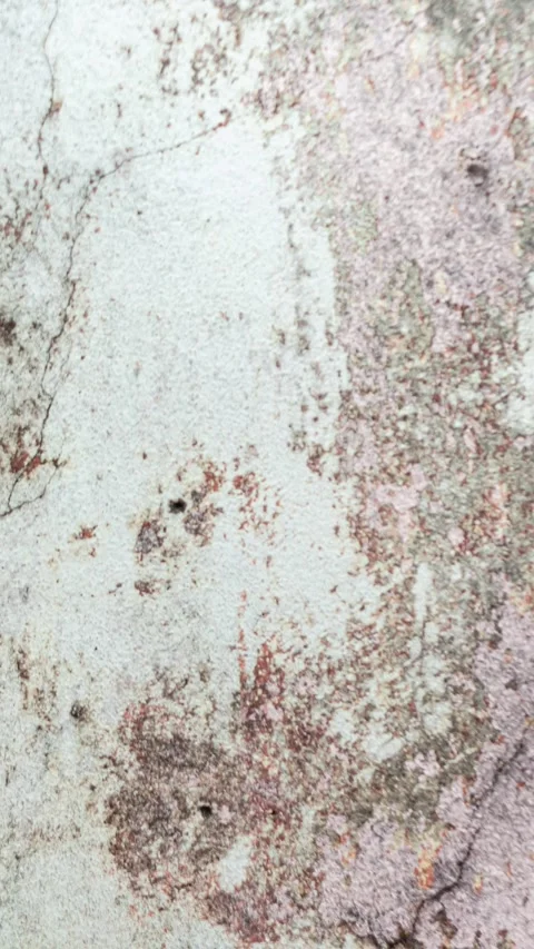 076_Abstract wall texture pattern.mp4 Stock Footage 347072373