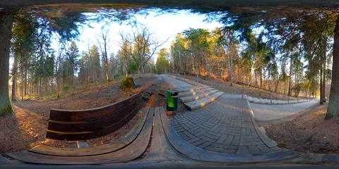077 4K 360 VR immersive video of The trail going to the forest in Munumagi Es Stock Footage 90985981