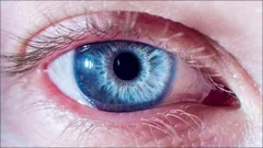 Beautiful Blue Eye Opening Up And Closing As Pupil Contracts And Dilates Macro